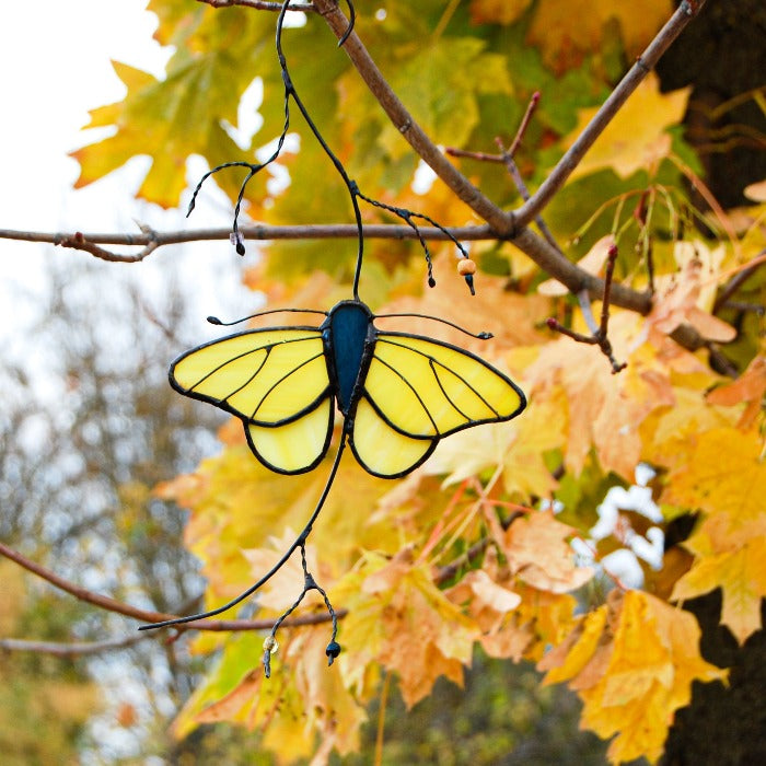 yellow butterfly