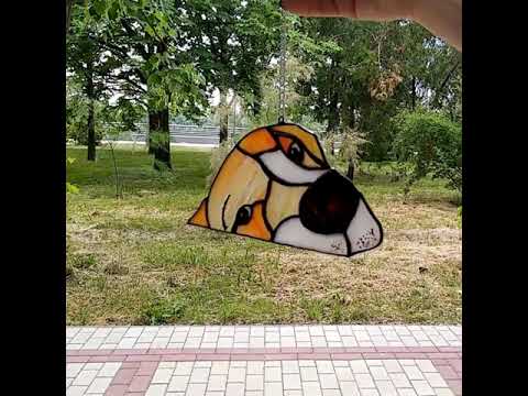 stained glass dog video